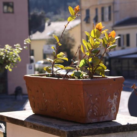 Villa Clelia レヴァント エクステリア 写真